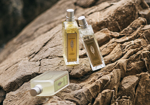 Buy fragrance sales online uk